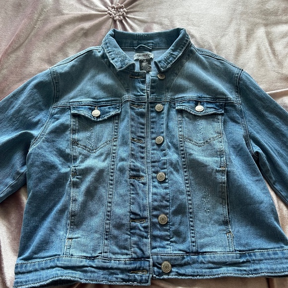 Basic Denim Jacket - Picture 8 of 11